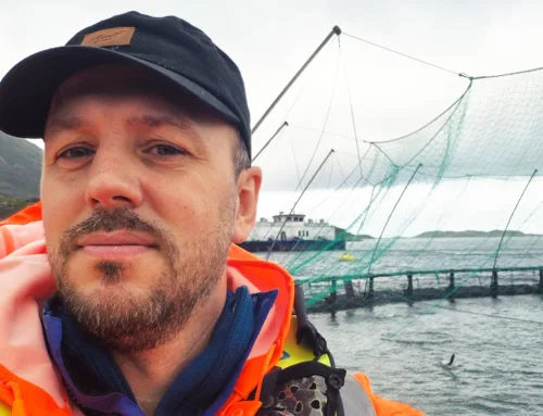 Ny på laget: bli kjend med Sindre Strandos